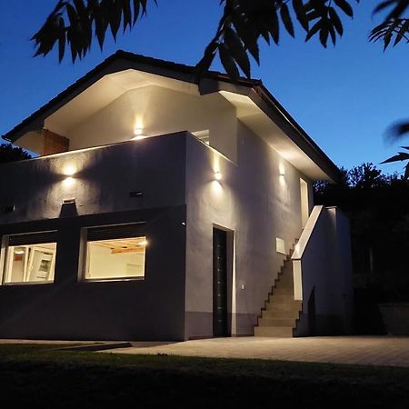 Grajsko Villa Metlika Eksteriør bilde