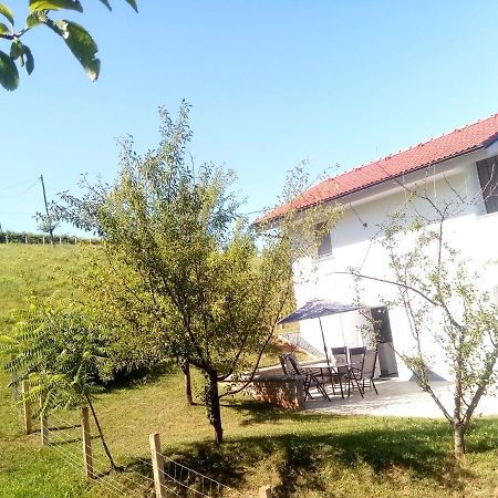Grajsko Villa Metlika Eksteriør bilde