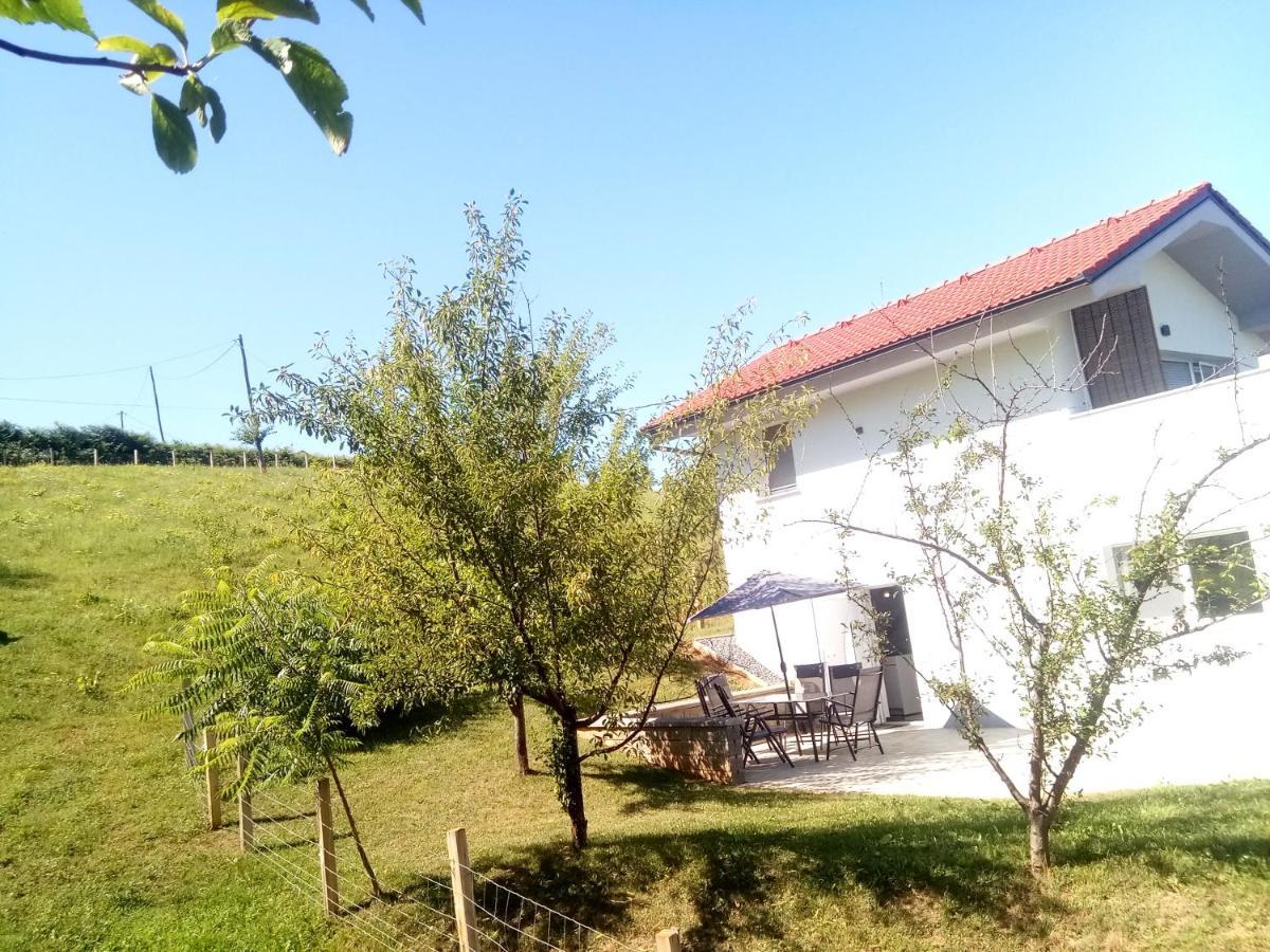 Grajsko Villa Metlika Eksteriør bilde